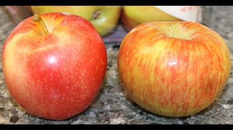 Fuji Vs Gala Apples - What's the Difference? - News Incs