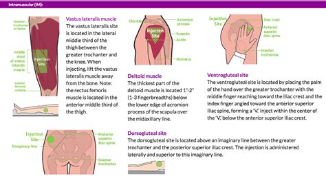 Injection Sites • HowToDoInjections.com