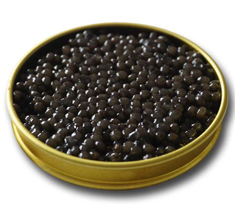 Beluga Caviar – Attilus Caviar