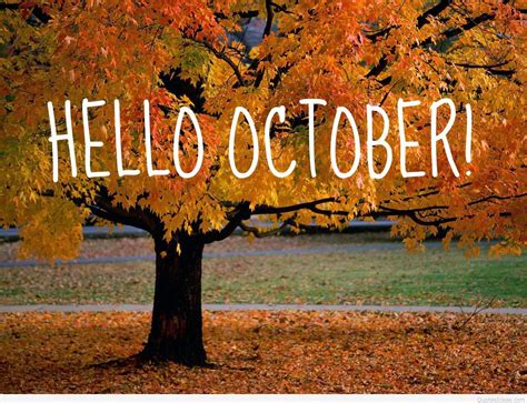 Hello October Fall Quotes Wallpapers - Top Free Hello October Fall ...