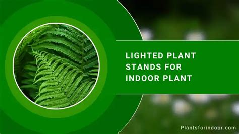 Lighted Plant Stands For Indoor Plant (Grow Light Stand)