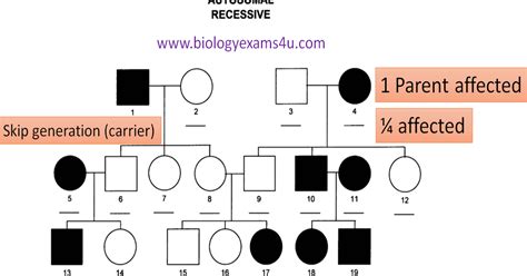 Rscrawl: Cystic Fibrosis Pattern Of Inheritance