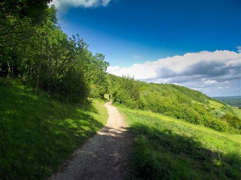 Box Hill, Surrey - Things To Do and See, Pictures and Videos ...