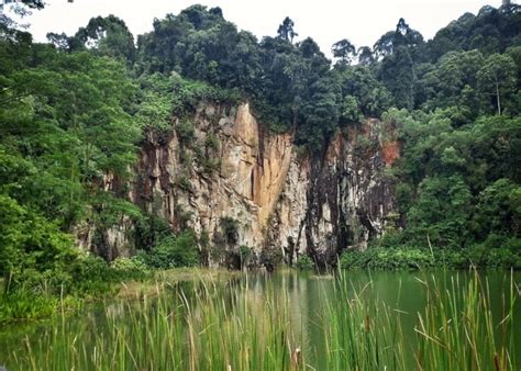 4 nature reserves in Singapore for trails & wildlife | HoneyKids Asia