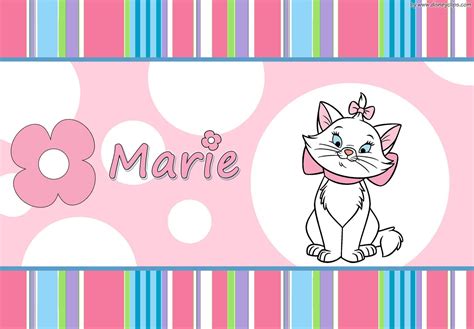 Top 999+ Marie Cat Wallpaper Full HD, 4K Free to Use