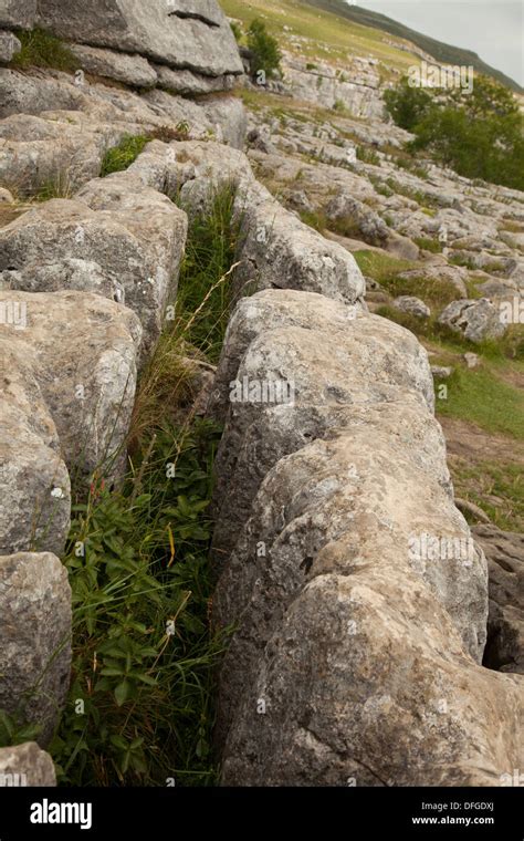 Limestone pavement Malham Cove Yorkshire Stock Photo - Alamy