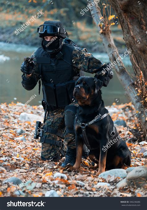 Police Spetial Forces Rottweilerfiltered Under Exposured Stock Photo 346236686 | Shutterstock