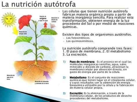 funciones biologicas