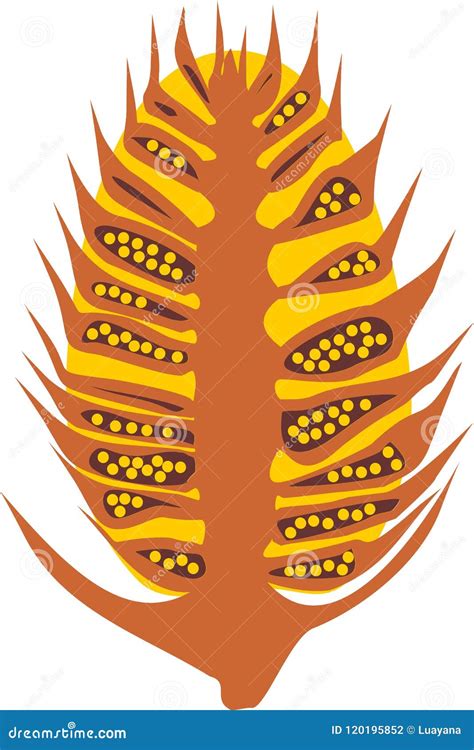 Structure Of Male Pollen Cone Of Pinus And Yellow Pollen Grain With ...