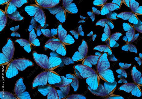 Blue Butterfly Abstract Backgrounds