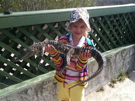 Florida Everglades Tours | Everglades Adventure | Everglades Tours ...