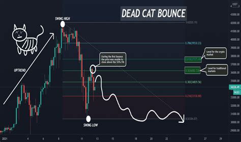 Deadcatbounce — Education — TradingView