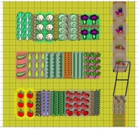 Vegetable Garden Layout in 2021 | Garden layout vegetable, Garden layout, Vegetable garden