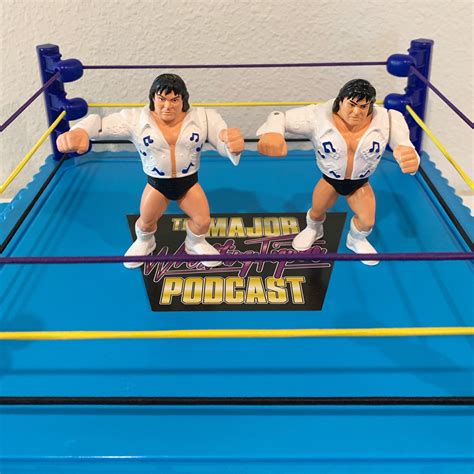 The Major Wrestling Figure Podcast on Twitter: "Only 3 authentic Hasbro ...