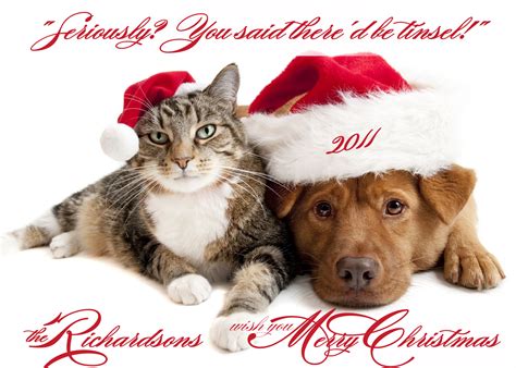 Photo Christmas Card Pets Dog Cat Pet Photo Card - 7" X 5" on Luulla