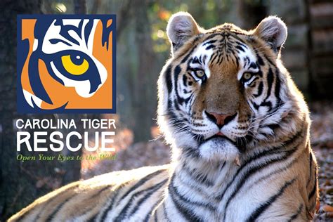 Carolina Tiger Rescue - Global Federation of Animal Sanctuaries