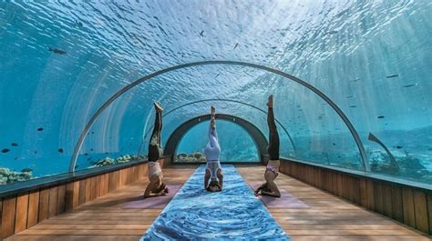 What to do in Maldives: Highlights in the Maldives islands - Maldives Arena