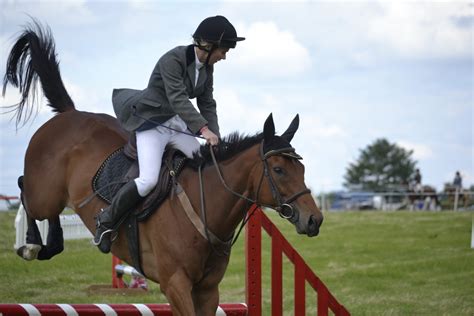 Free Images : person, fence, rider, stallion, competition, mare, jockey, event, obstacle ...