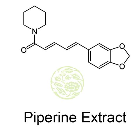 Piperine CO2 Extract Oleoresin – Extracted SCFE CO2 Extraction Process