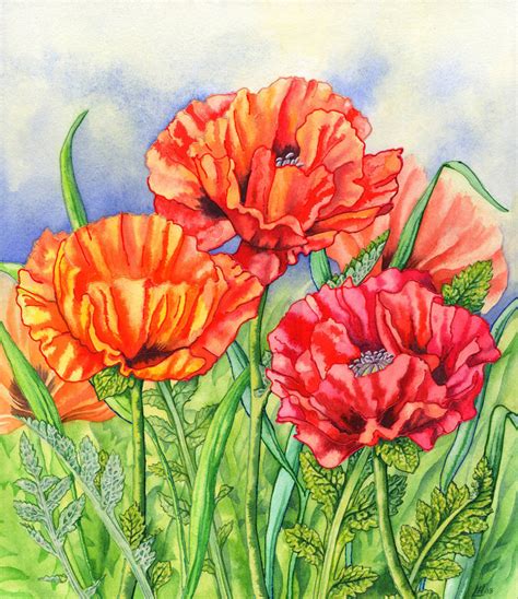 Oriental Poppies by LynneHendersonArt on DeviantArt