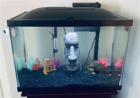 Best 10-Gallon Fish Tanks Available - Top 6 of 2021