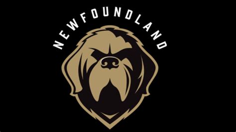 City of St. John's Newfoundland Growlers - TSN.ca