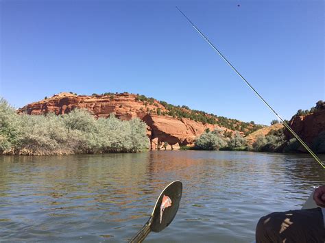 Big Horn River Float Trips - Feathered Hook