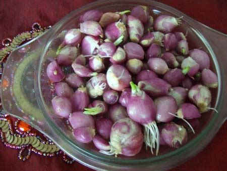 Shallot Onion by Vagikamath Impex, Shallot Onion from Kottayam Kerala ...