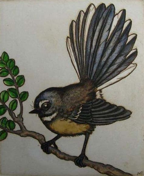 Mary Taylor Fantail bird etching art print NZ | Nz art, Bird art, Bird drawings