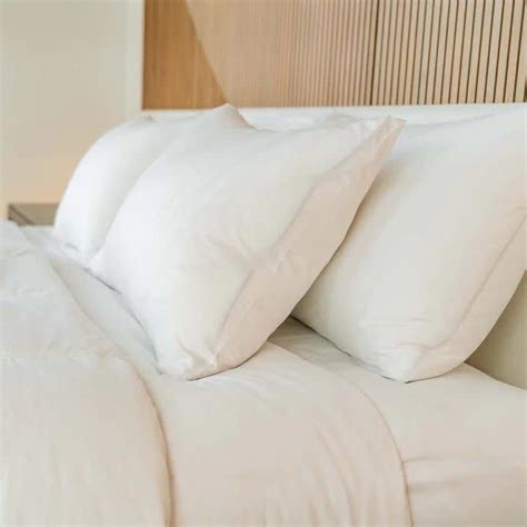 Best Feather Pillows of 2023 - Sleep Doctor