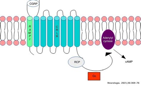 Epigenetic changes in headache | Neurología (English Edition)