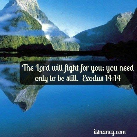 Exodus 14:14 (NIV) The Lord will fight for you; you need only to be ...