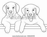 Whippet Coloring Pages sketch template
