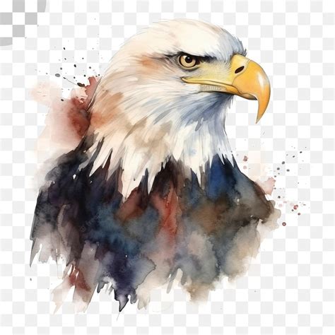 Premium PSD | Watercolor painting of a bald eagle watercolor painting ...