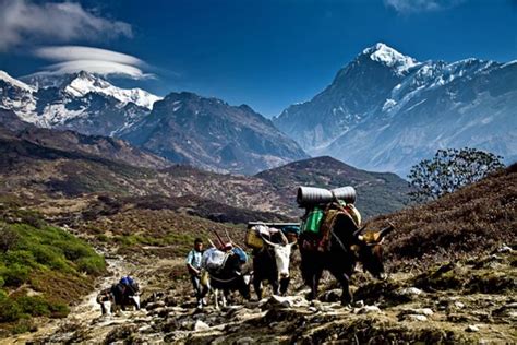 Kanchenjunga National Park Trek - Sunshine Adventures