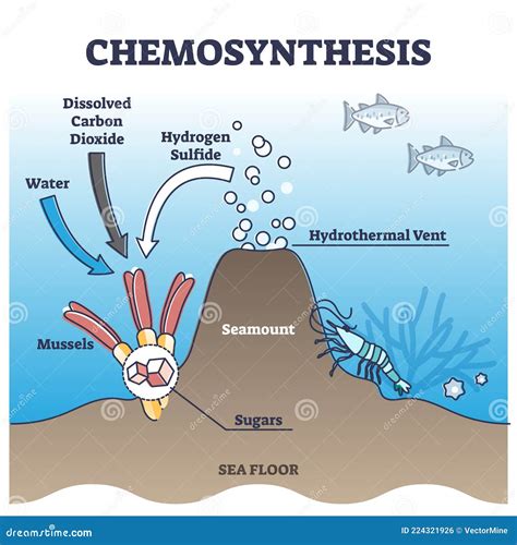 Hydrothermal Cartoons, Illustrations & Vector Stock Images - 755 ...