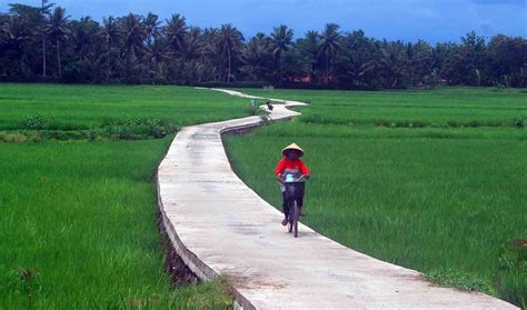 34+ Galeri Gambar Pemandangan Sawah Pedesaan - Serba Serbi Gambar