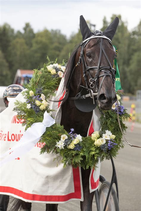 Märtha-vinneren drar, men Falcon Eye blir hjemme - TGN