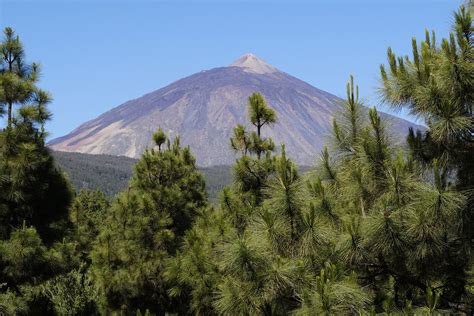 Tenerife volcano eruption fears are false, experts say | London Evening Standard