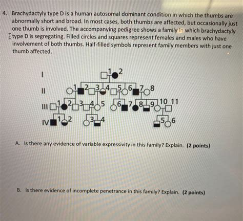 Solved 4. Brachydactyly type D is a human autosomal dominant | Chegg.com