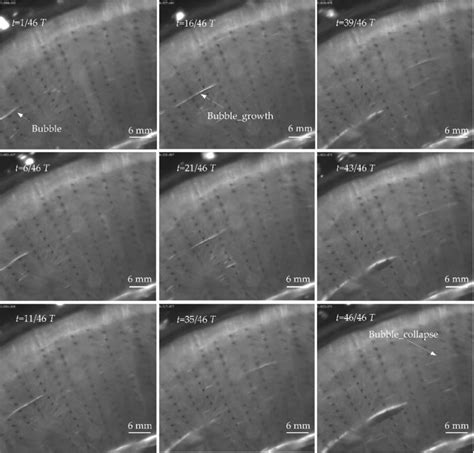 Growth and collapse of cavitation bubbles (direction: clockwise ...