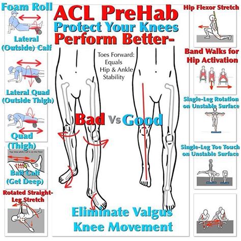 the diagram shows how to perform an acl - prehabb and prevent your knees