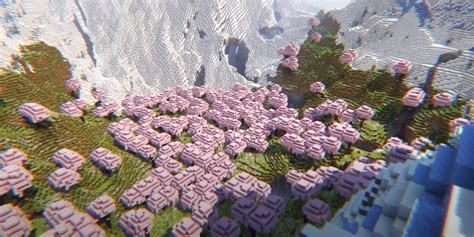 10 Best Minecraft Seeds For Cherry Blossom