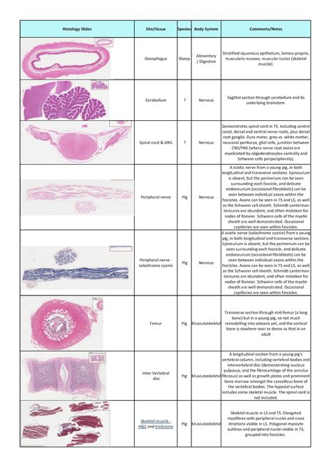 Histology slide index PDF - Warning: TT: undefined function: 32 His tology Slide s Site/tissue ...