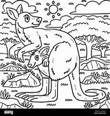 Mother Kangaroo And Baby Coloring Page Stock Vector Image  sketch template