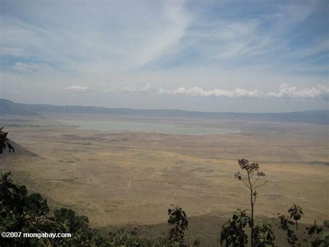 Ngorongoro Crater with Lake Magadi, as seen from above