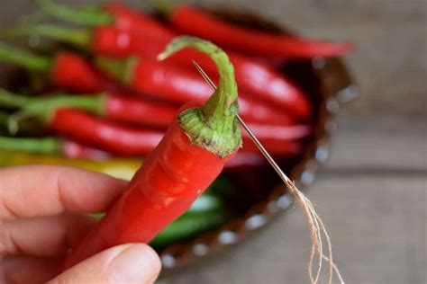 3 Easy Ways To Dry Hot Peppers