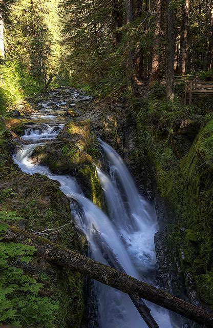 Olympic Peninsula Waterfall | Waterfall, Olympic national park, National parks