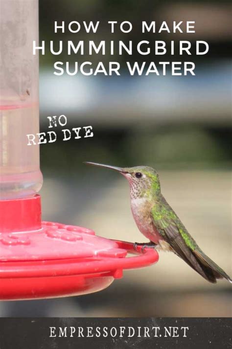 How to Make Sugar Water for Hummingbirds | Empress of Dirt