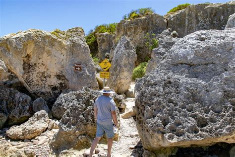 Top 5 Best Beaches on Kangaroo Island - Explore Shaw